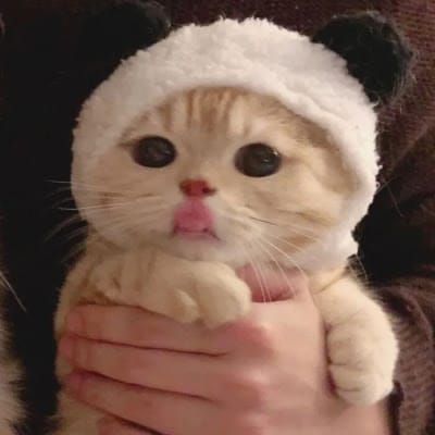 فضل الرحمن avatar