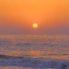 شاہ حسین avatar